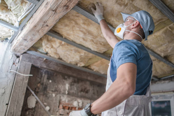 Best Insulation Maintenance and Repair in Asbury, IA
