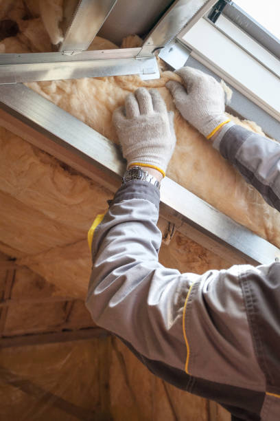 Best Insulation Installation Services in Asbury, IA