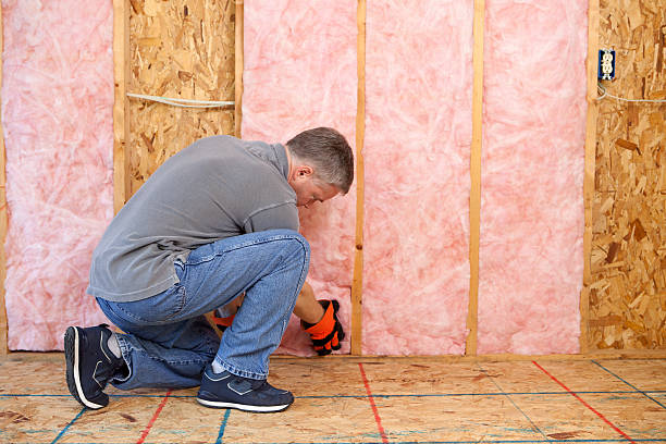 Best Commercial Insulation in Asbury, IA